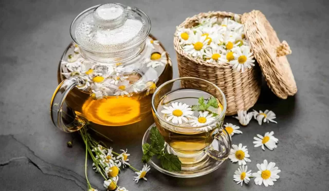 Hamilelikte papatya çayı