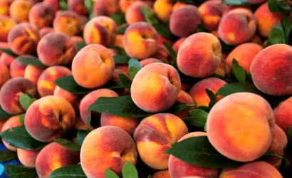 Hamilelikte şeftali